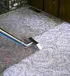 carpet cleaners Auckland service
