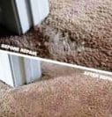 Carpet-Repairs-Auckland