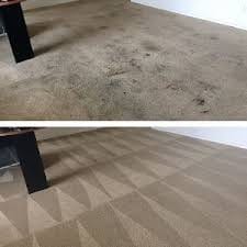 Auckland carpet cleaning reviews