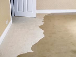 wet carpet flood tips