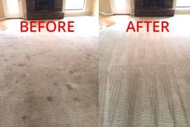 DIY carpet cleaning Auckland Service