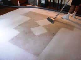 benefits of carpet cleaning Auckland